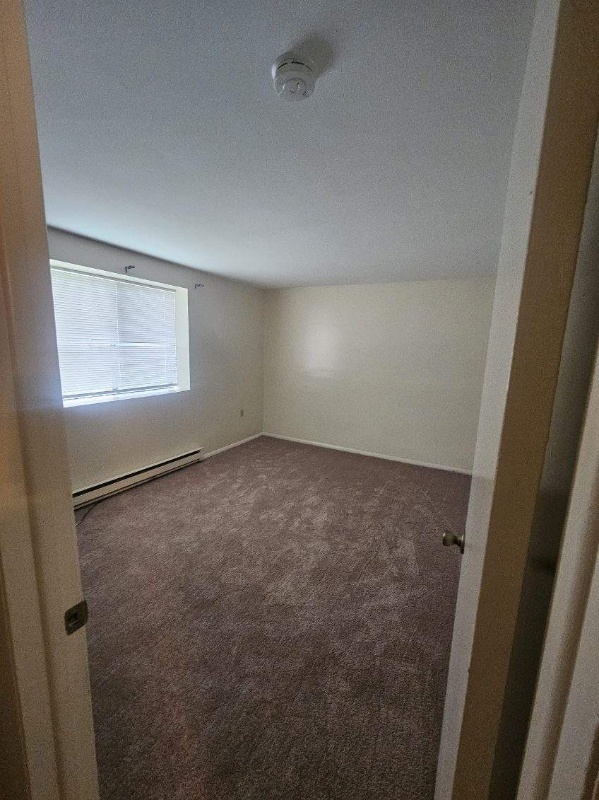 Building Photo - 4103 Pine Hollow Dr