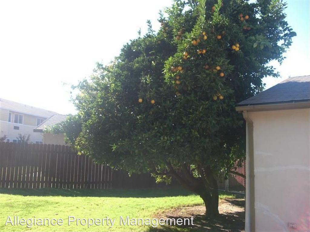 Building Photo - 3 br, 2 bath House - 2438 Northglen St