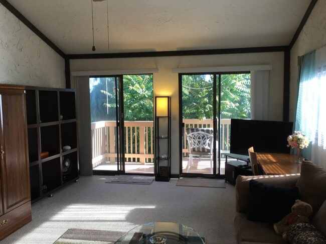 Living room with the balcony. - 11060 Enchanto Vista Dr