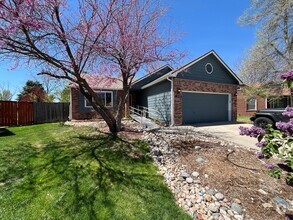 Building Photo - 3519 Patterson Ct