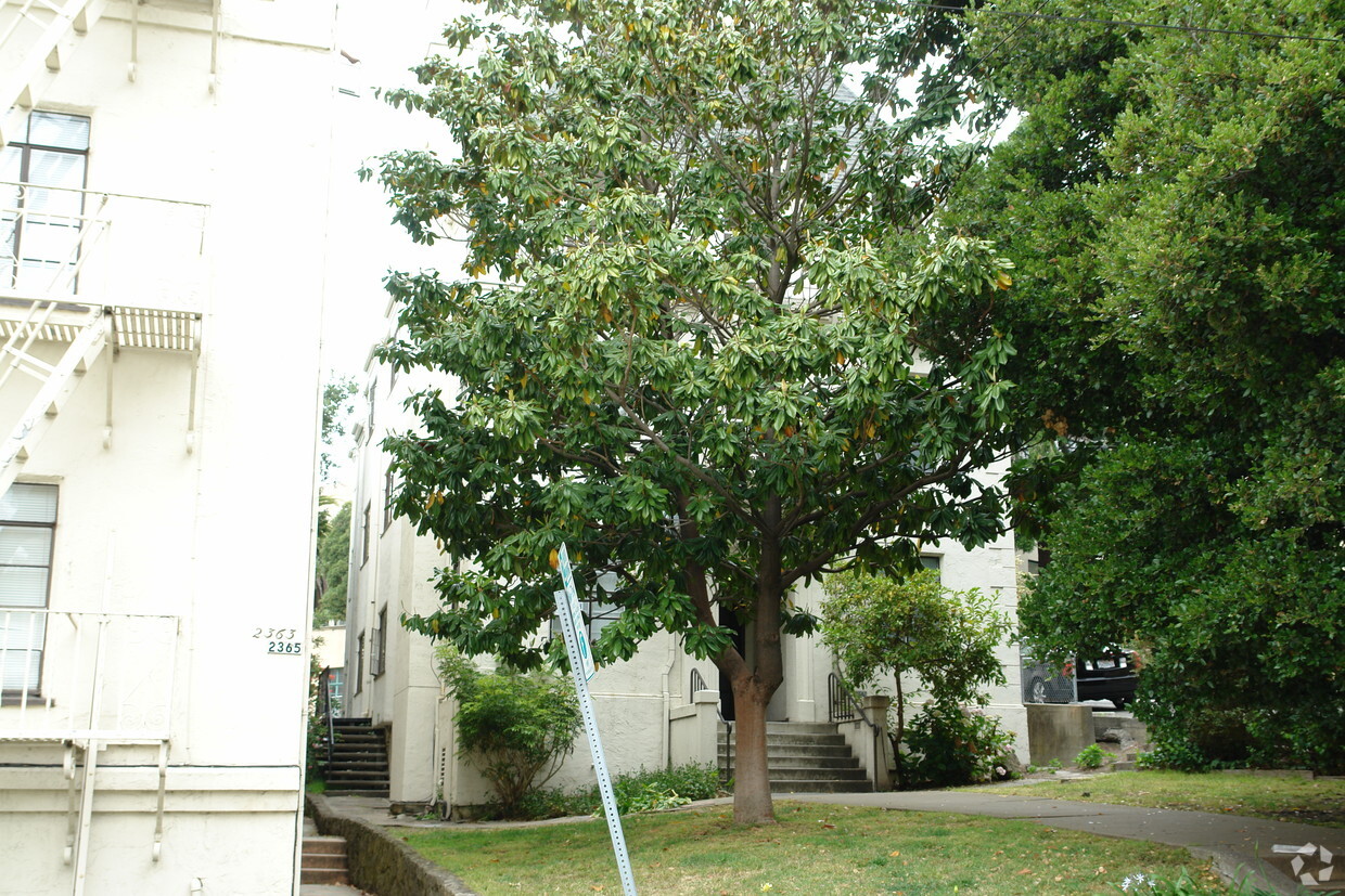 Primary Photo - 2369 Le Conte Avenue