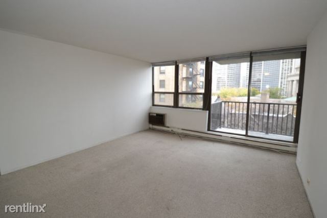 Building Photo - 1 br, 1 bath Condo - City Flats Chicago Fa...