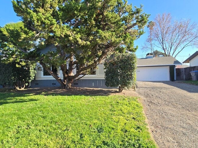 Building Photo - 1542 Parkview Ave