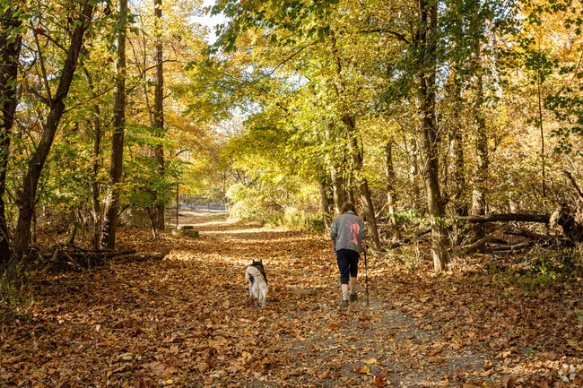 Aronimink's Pilgrim Park features a wooded walking trail along Darby Creek.