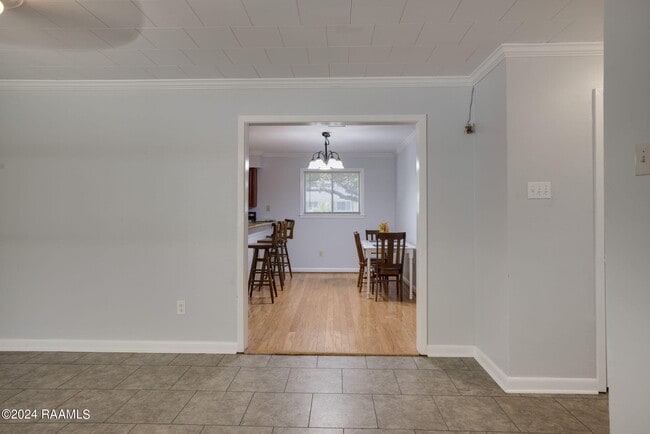 Building Photo - 116 Live Oak Dr