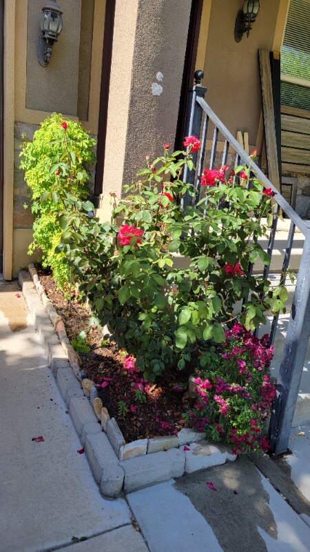 Foto del edificio - 807 Whisper Cove Rd