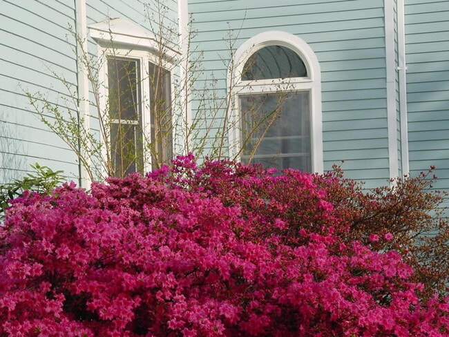 Foto del edificio - 324 Little Falls St
