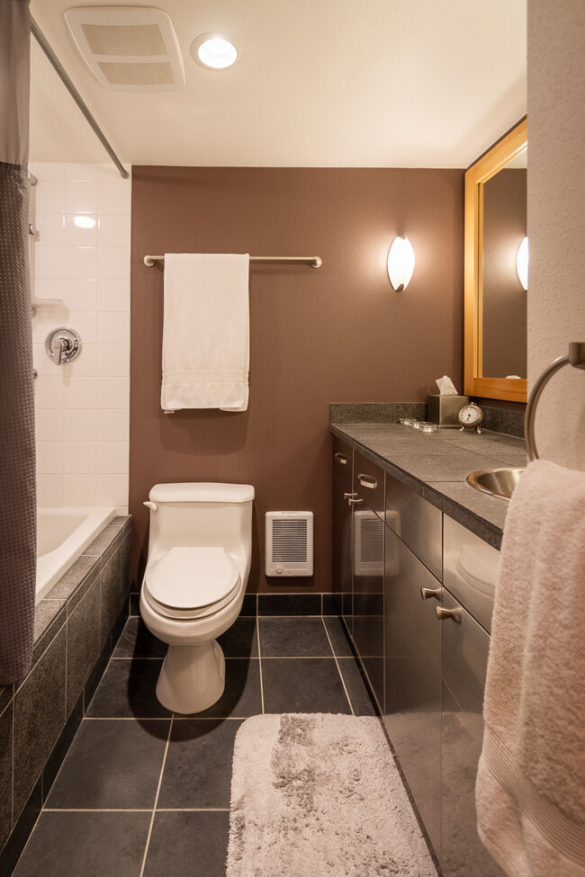 Soaking tub and Grohe hand shower on shower bar - 535 Summit Ave E