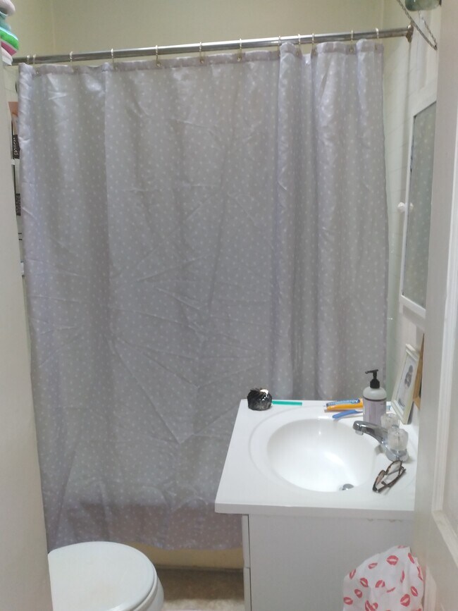 Deep bathtub with skylight - 501 N 35th St