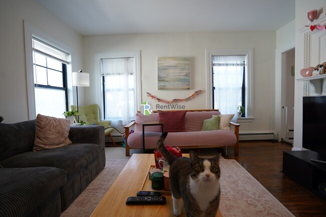 Building Photo - 66 Chester St