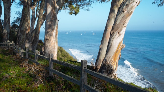 Building Photo - 2505 Medcliff Rd