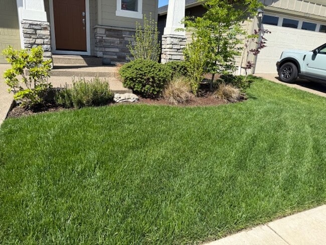 Building Photo - Gorgeous Custom Pet Friendly Four Bedroom ...