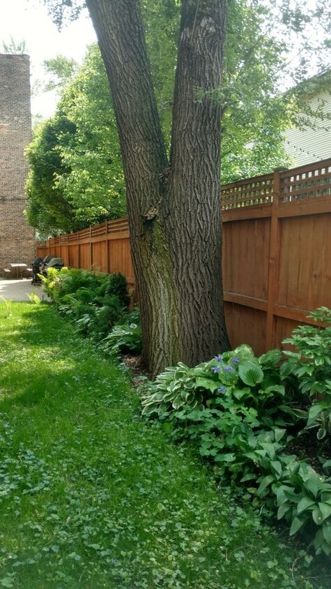 Fantastic Roscoe Village One Bedroom - Fantastic Roscoe Village One Bedroom