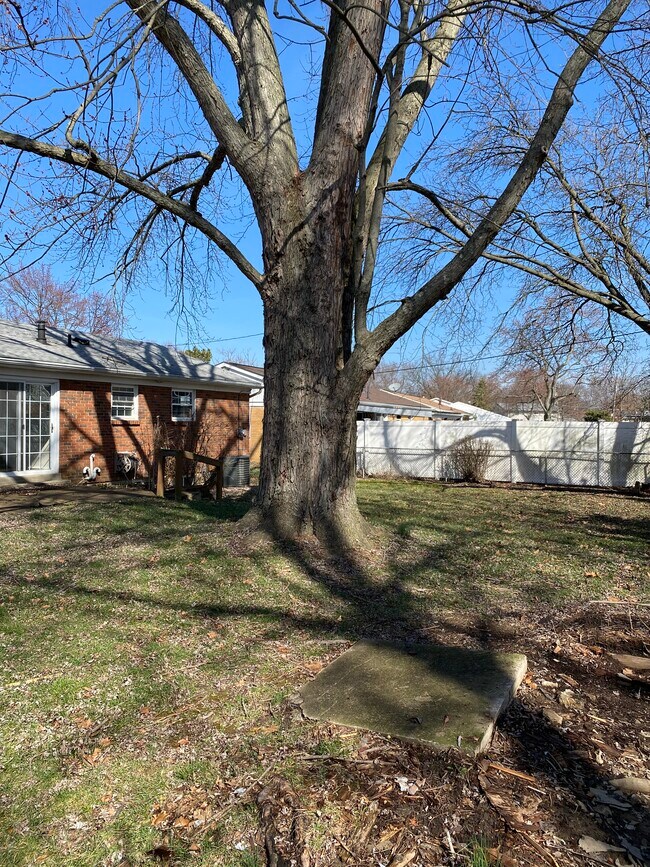 back - 1582 Turquoise Dr