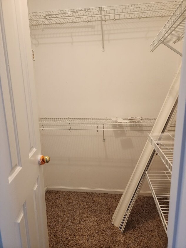 Building Photo - 4800 sq ft 8 bd 5 bath