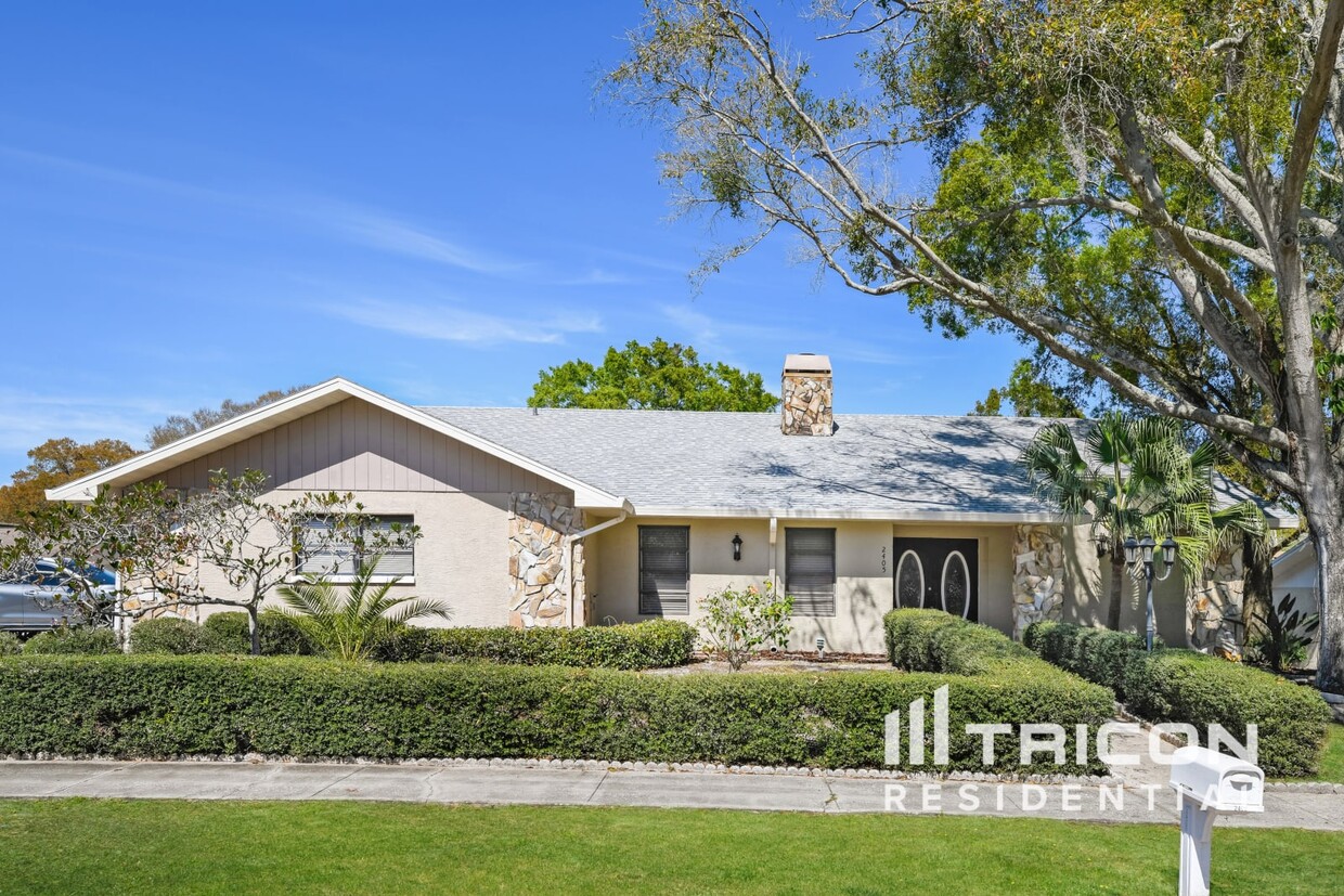 Primary Photo - 2405 Eagle Chase Drive Palm Harbor FL