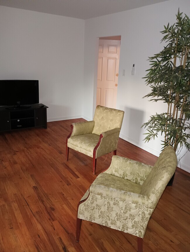 Family room - 819 Brooklyn Ave