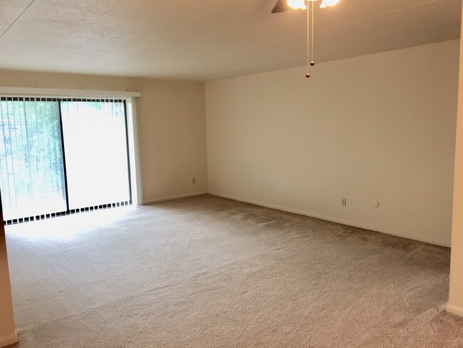 Building Photo - 1123 Forest Green Dr
