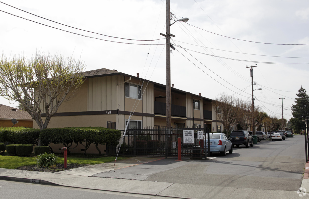 Primary Photo - Schafer Road Apartments