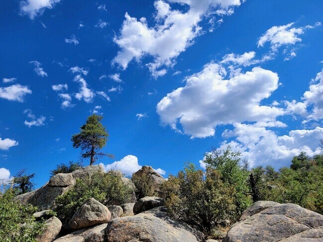 Foto del edificio - 1135 Boulder Park Ave