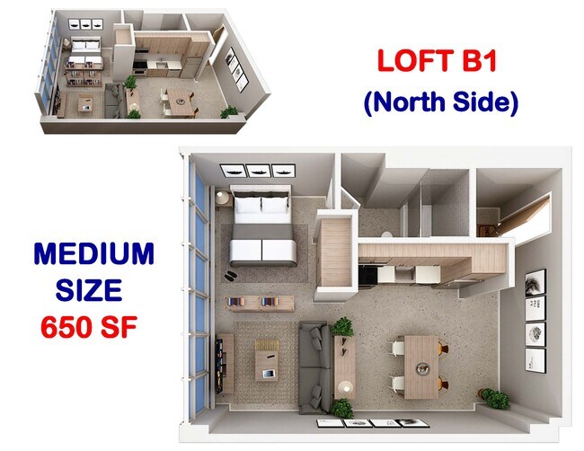 Loft B1 - 650 SF (North Side) - Panorama Tower