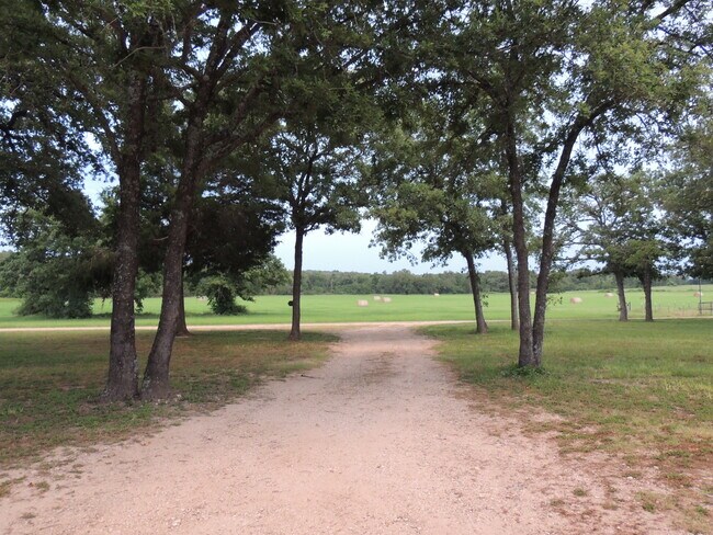 View from front porch - 910 Perry Ln
