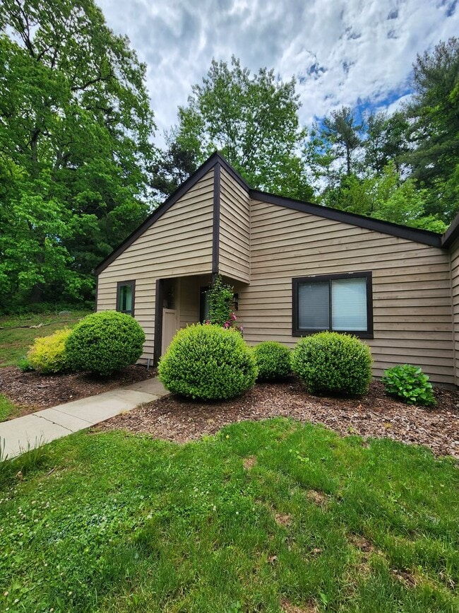 Building Photo - Black Mountain Rental!