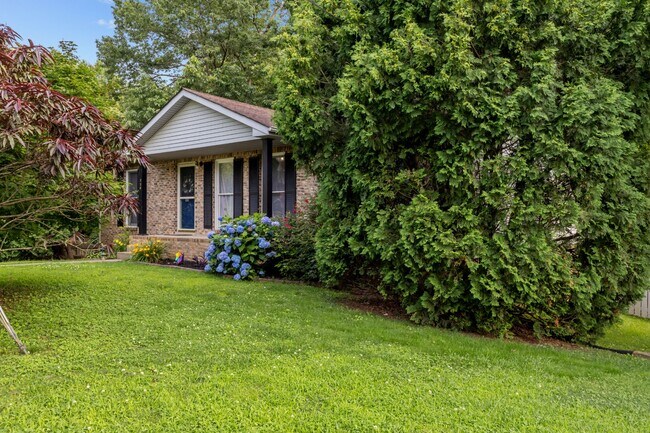 Building Photo - 336 Andrew Dr