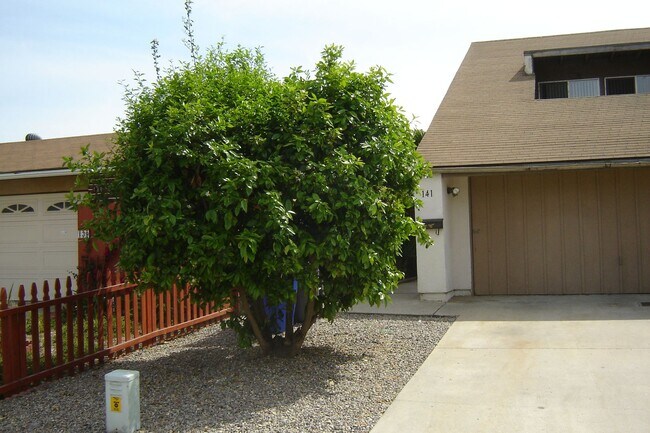 Building Photo - Beautiful 3 Bed 2 Bath Home In San Marcos!...