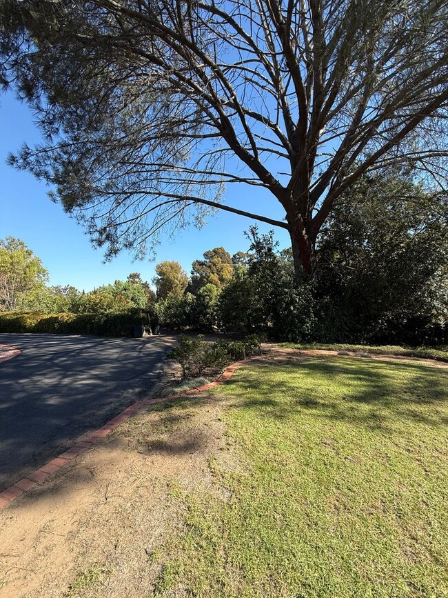 Building Photo - Ranch Style Home on Large Lot with Circular Driveway