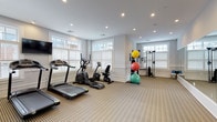 This single-level fitness room is thoughtfully designed to support a full range of exercise routines in a clean, well-lit environment. The space is finished with neutral-toned carpet and crisp white walls accented by classic wainscoting, lending a polished yet functional aesthetic throughout.

Natural light is a defining feature, with multiple windows fitted with white plantation shutters lining the walls and allowing ample daylight to fill the room. Recessed ceiling lights provide consistent overhead illumination to complement the natural light.

The cardio section is well-stocked, housing multiple treadmills, elliptical trainers, and a recumbent bike arranged in an organized row facing the windows and a wall-mounted flat-screen television. A large floor-to-ceiling mirror spans one wall, visually expanding the space and allowing users to monitor their form during workouts.

A freestanding cable machine with a weight stack offers strength training versatility, accompanied by a rack of stability balls in multiple sizes and a collection of yoga mats stored in a nearby basket. French doors with glass panels provide access to the room, adding an elegant architectural touch. Overall, the space strikes a balance between a professional gym environment and a refined interior design sensibility.