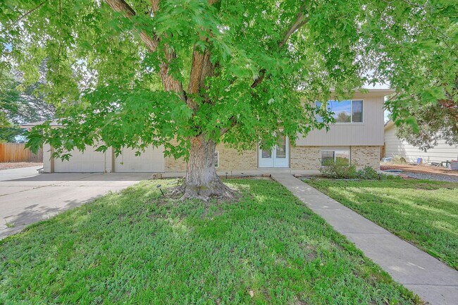 Building Photo - Spacious Home in Rustic Hills!