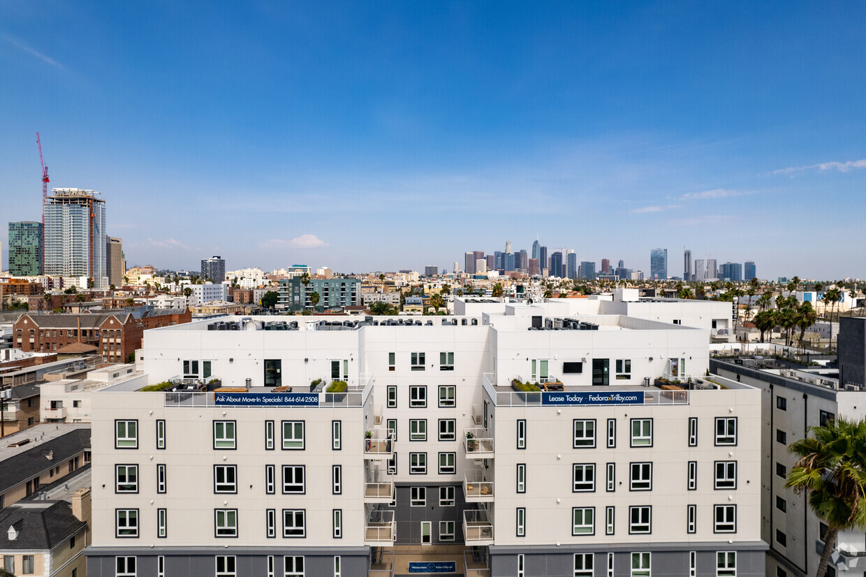 Trilby with DTLA views - Fedora x Trilby