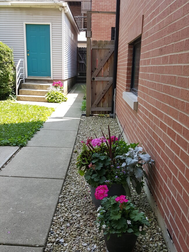 Gangway to alley view. - 2527 N Marshfield Ave