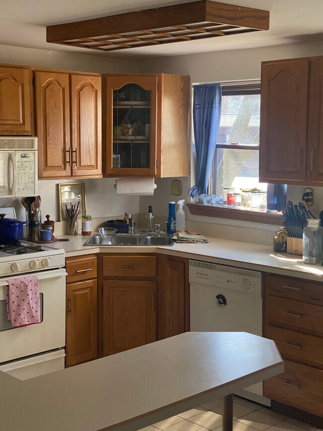 Stove disgwasherand sink - 189 Newman St