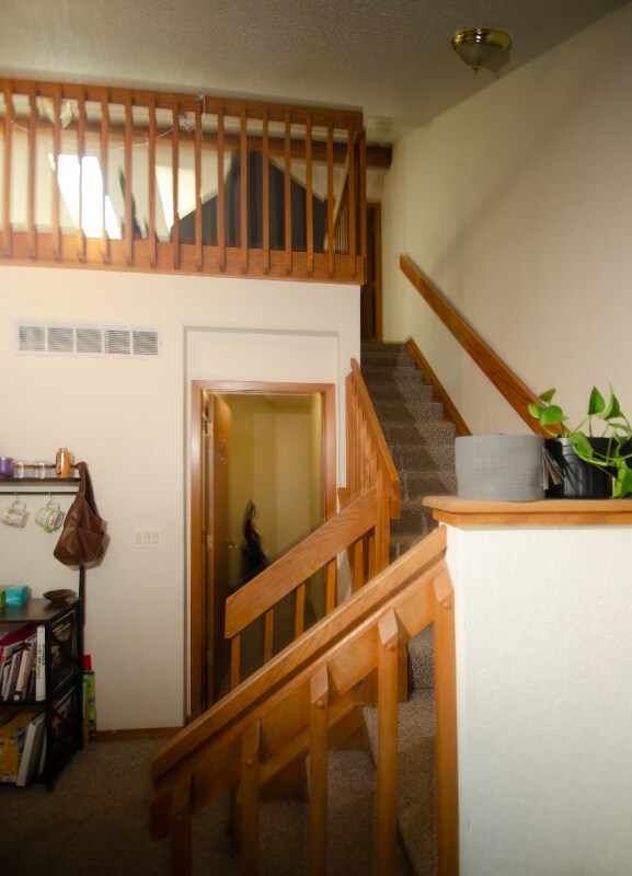 Foto del edificio - 2829 Springdale Ln