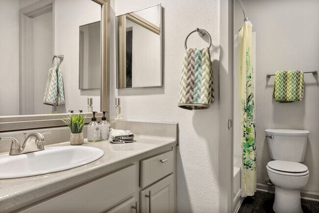 C235270_1B1BModelo_Baño_13785 - The Enclave at Bear Creek