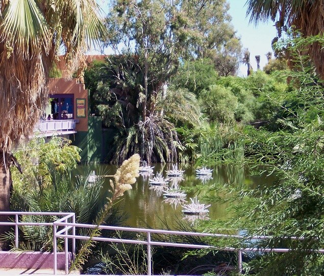Picture of Scottsdale Estates/Summerfield Scottsdale