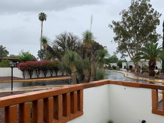 Foto del edificio - 436 S Paseo Cerro