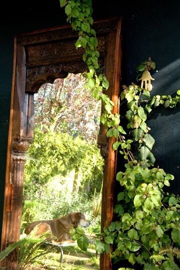 patio trasero - 11818 Pacific Ave