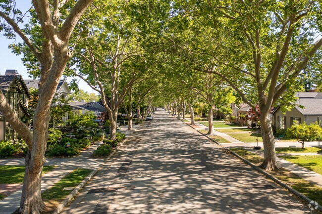 Leaf covered streets line this charming neighborhood, making for perfect summer strolls.
