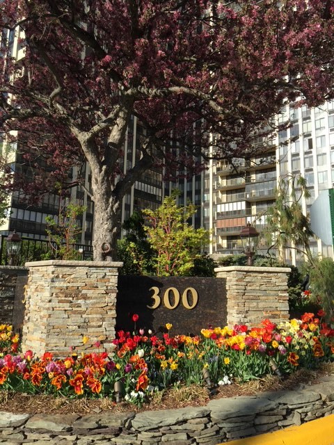 300 Winston Dr. - 300 Winston Dr