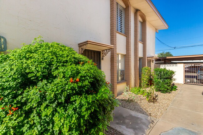 Building Photo - Furnished Condo in Scottsdale