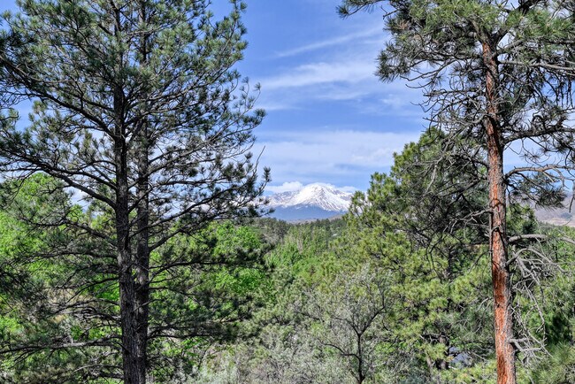 Pikes Peak View from back yard - 7625 Thunderbird Ln