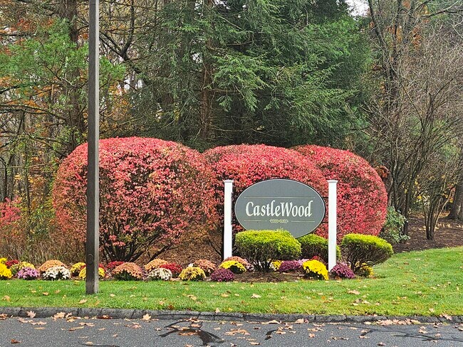 Building Photo - 208 Castlewood Dr