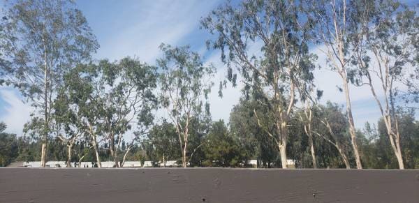 Building Photo - 1350 N Escondido Blvd