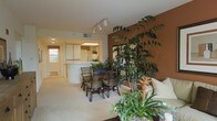 This single-floor space presents an open, flowing layout that seamlessly connects the living, dining, and kitchen areas. The dining area is anchored by a dark rattan chair set arranged around a round table, positioned adjacent to a curved, white kitchen peninsula that offers a natural division between the two spaces. The kitchen, visible through a pass-through opening, features light wood cabinetry and benefits from a skylight that draws in natural light, brightening the workspace.

A striking terracotta-brown accent wall serves as a bold focal point in the main living area, providing a warm contrast to the otherwise neutral palette of cream walls and light carpeted flooring. Track lighting mounted on the ceiling provides adjustable illumination throughout the space.

One of the most distinctive features is the abundant use of indoor plants, including a tall, sculptural tree that reaches toward the ceiling alongside an assortment of tropical foliage and a vibrant bromeliad. These plants infuse the space with a lush, organic energy. The overall ambiance is warm and inviting, blending earthy tones with natural textures for a relaxed, nature-inspired aesthetic.