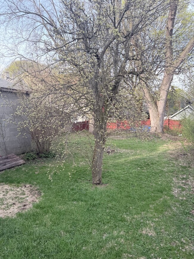 Foto del edificio - 1022 Avery Ave