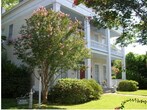 Foto principal - 1105 Harrison St