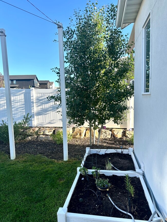 Planter boxes in the backyard - 6841 Woods Rose Dr